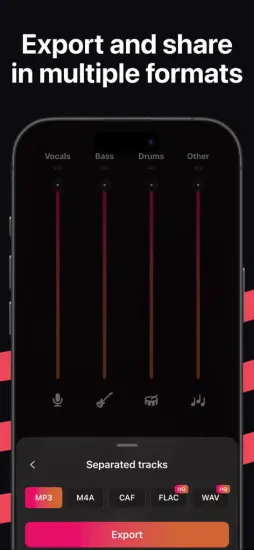 Stemz app feature for exporting separated audio tracks in multiple formats like MP3, FLAC, and WAV.