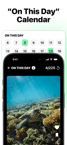 The Swipewipe home screen widget, showing 'On This Day' memories.